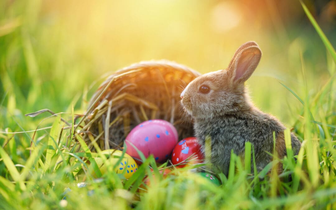 Ostergrüße für alle!