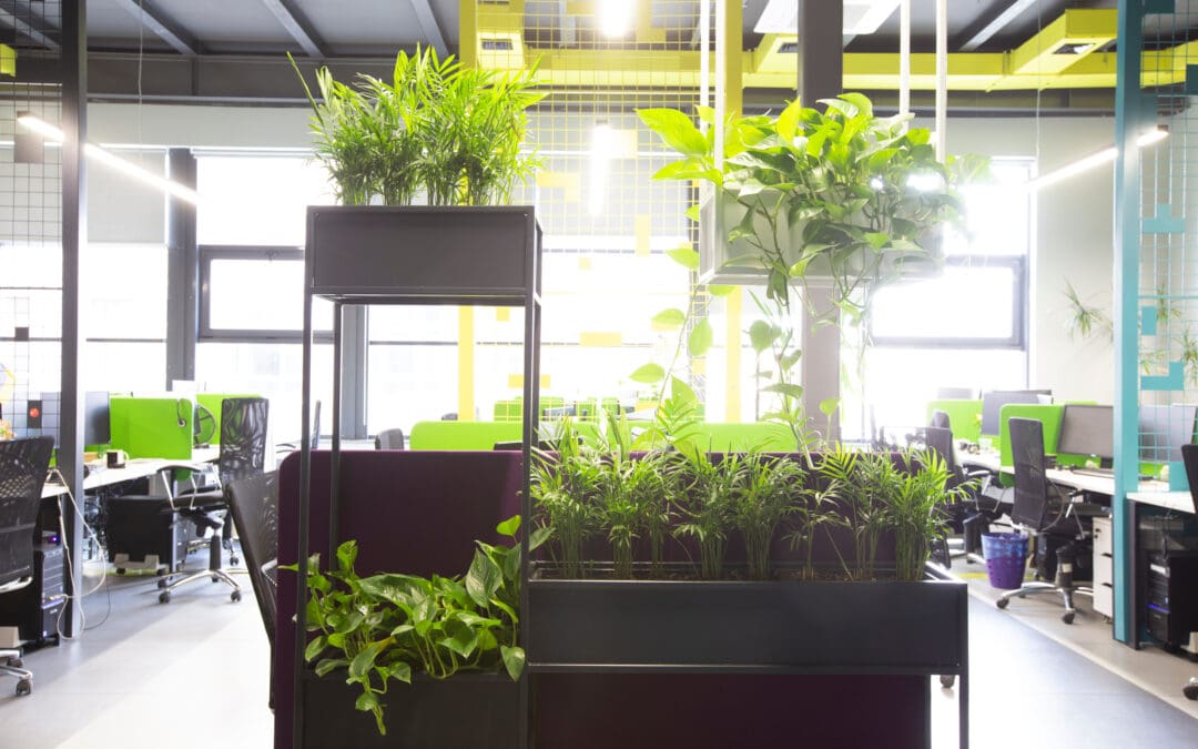 Nachhaltigkeit trifft Produktivität: moderne Büroumgebungen