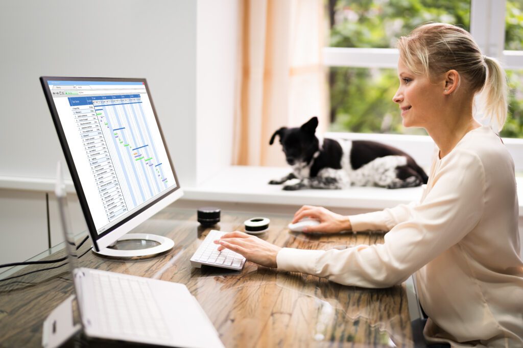 🐶 Wau: Hunde im Büro. HAIN® GmbH. Mehr Büro geht nicht.